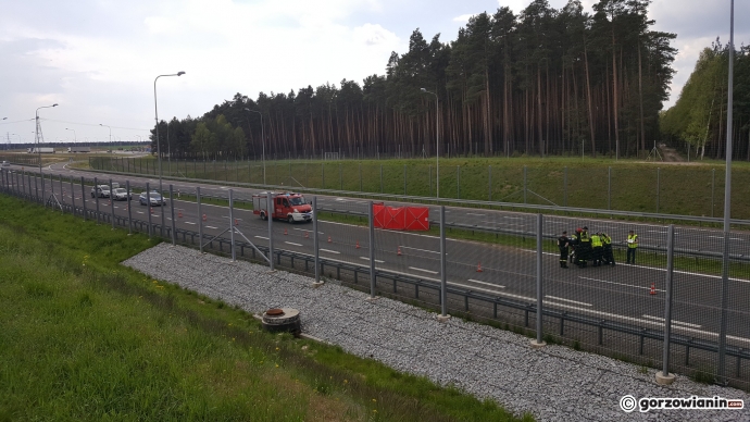 5/6 Śmiertelny wypadek na S3 z udziałem motocyklisty