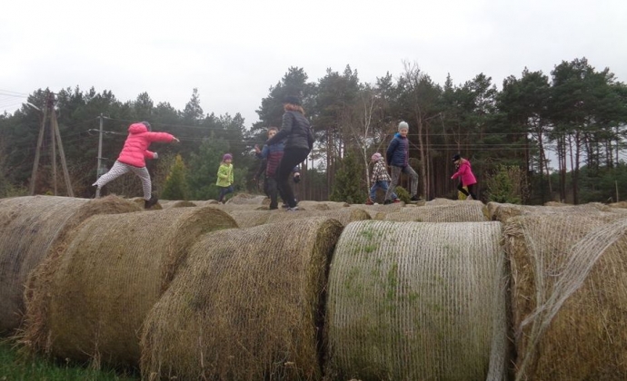 4/9 Owce i jagniątka na wyciągnięcie ręki