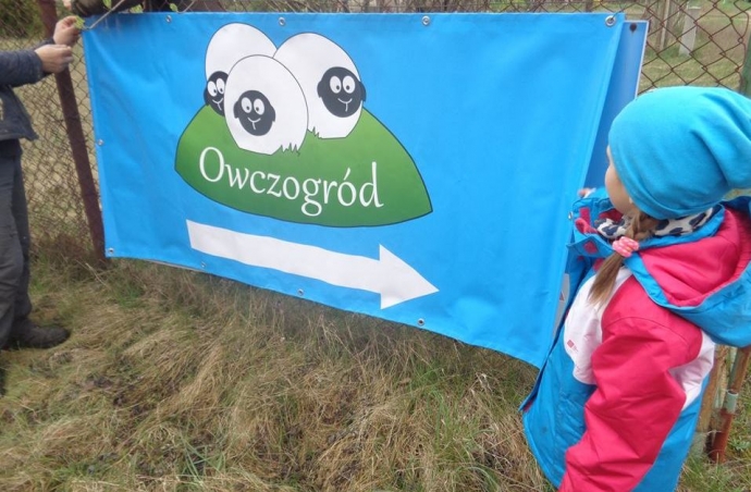 5/9 Owce i jagniątka na wyciągnięcie ręki