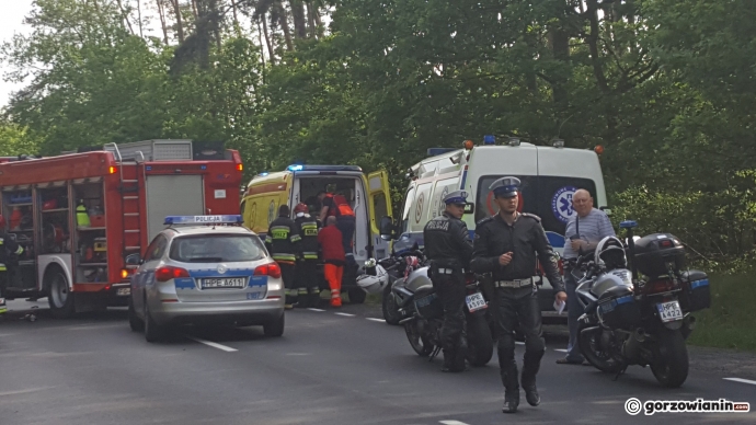 3/14 Czołowe zderzenie pandy i clio