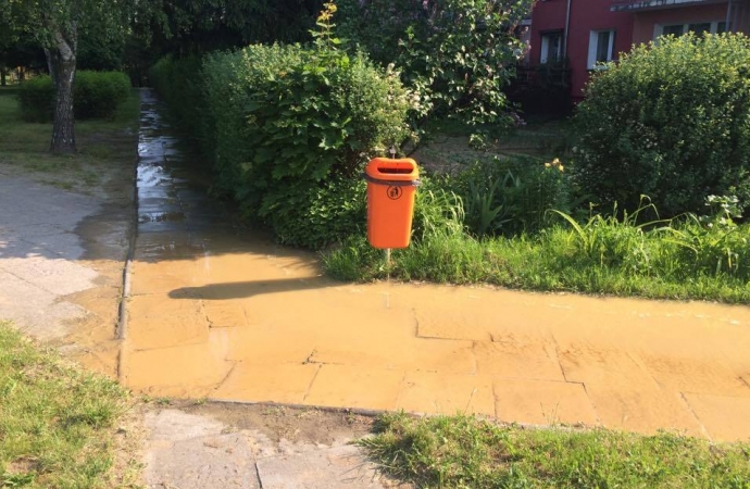 3/5 Zalana ul. Szwoleżerów