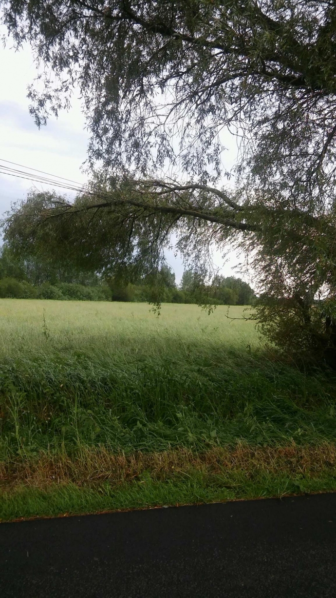 25/34 Nawałnica nad Gorzowem