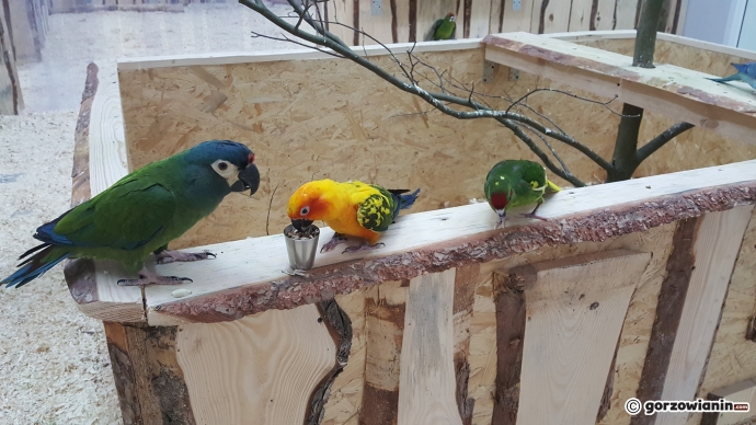 9/19 Atrakcje Fun Jump