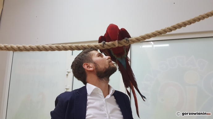 10/19 Atrakcje Fun Jump