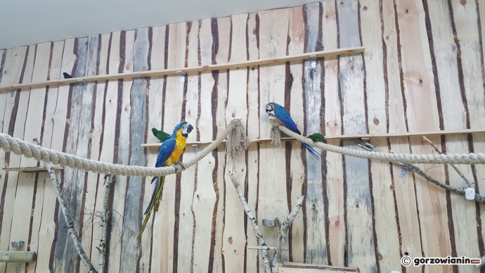 11/19 Atrakcje Fun Jump