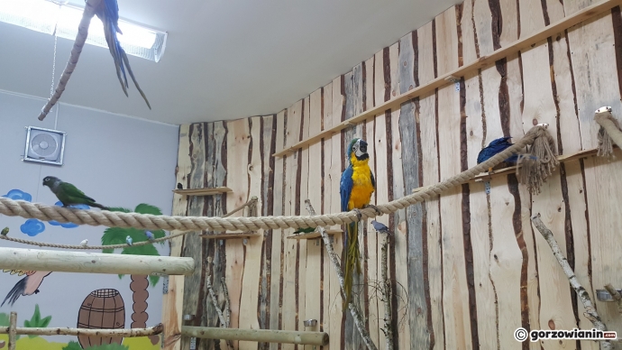 12/19 Atrakcje Fun Jump