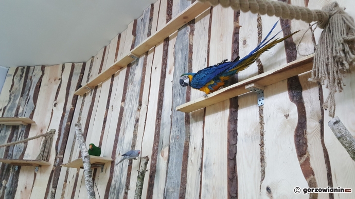 13/19 Atrakcje Fun Jump