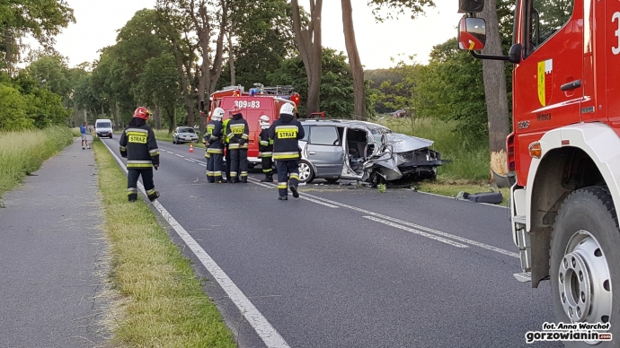 2/6 Osobowa Kia rozbiła się o drzewo w Mościczkach