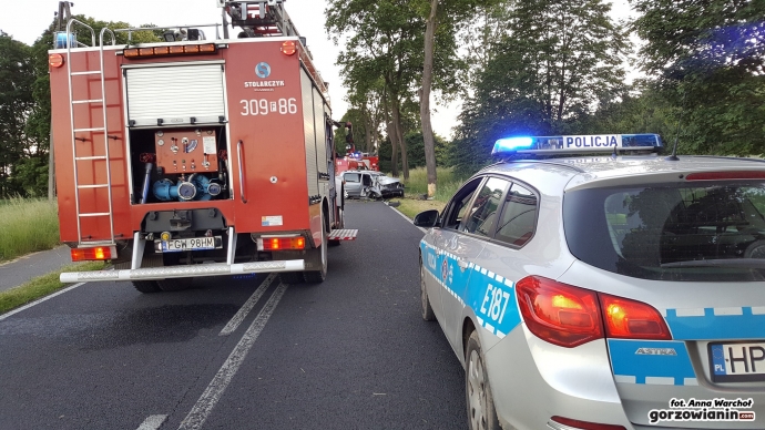 5/6 Osobowa Kia rozbiła się o drzewo w Mościczkach