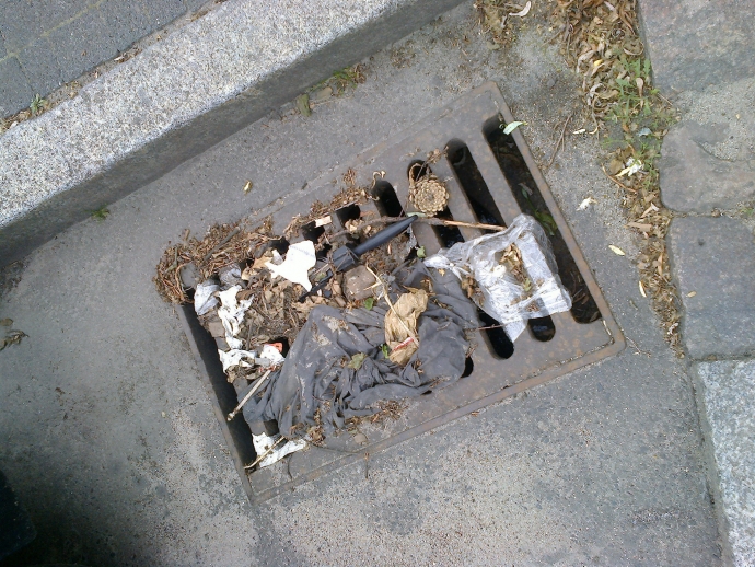 3/7 Zapchane wpusty do studzienek w Gorzowie