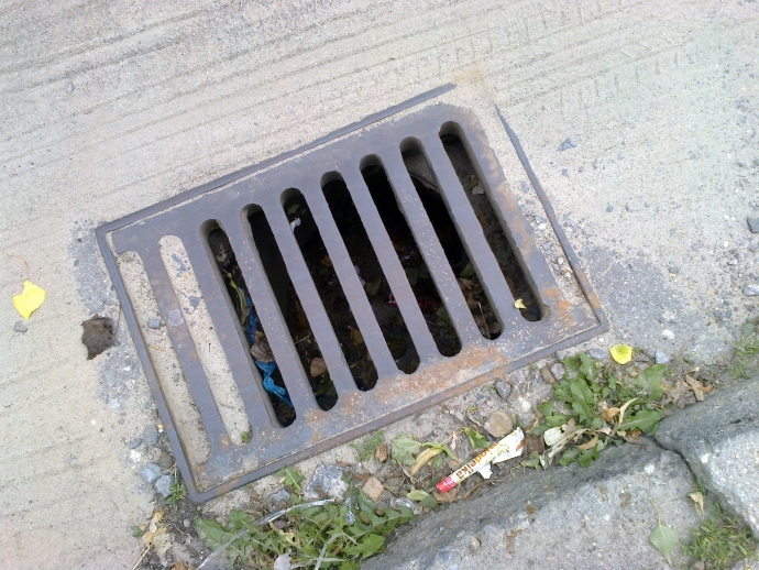 6/7 Zapchane wpusty do studzienek w Gorzowie