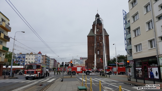 3/15 Msza św. na nadwarciańskich błoniach