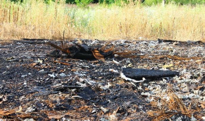 4/4 Spłonął pawilon z pszczołami