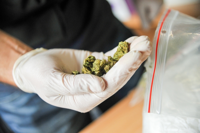 5/9 Zatrzymani za posiadanie narkotyków