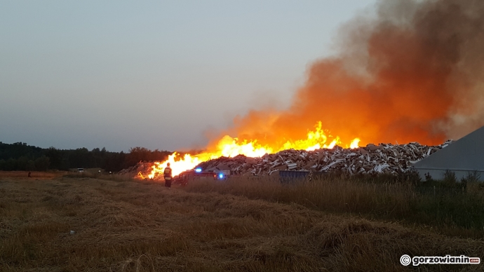 3/26 Pożar wysypiska śmieci przy Spiżowej
