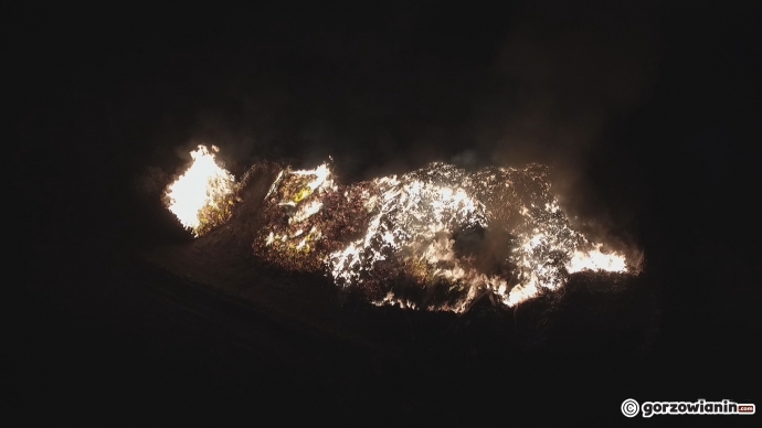 8/26 Pożar wysypiska śmieci przy Spiżowej