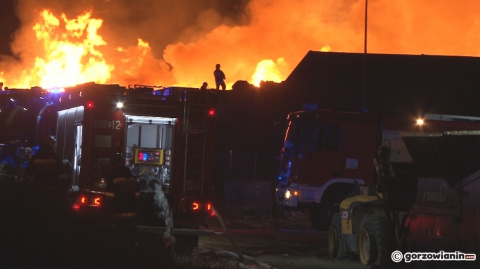 20/26 Pożar wysypiska śmieci przy Spiżowej