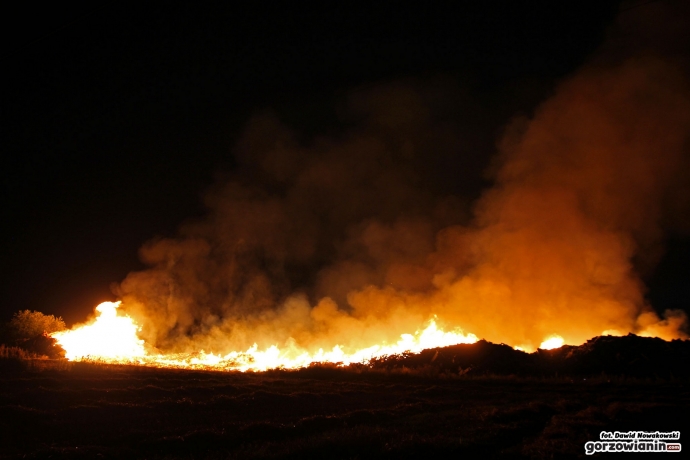 22/26 Pożar wysypiska śmieci przy Spiżowej