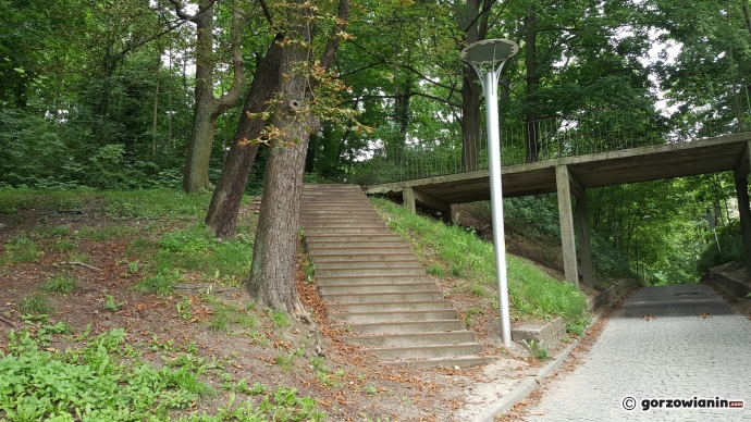 4/7 Park Siemiradzkiego w Gorzowie