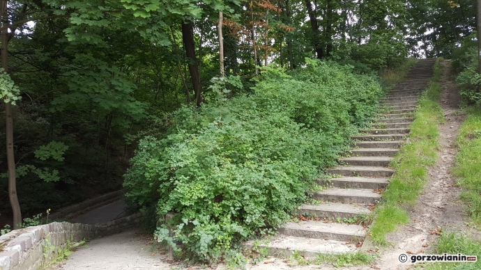 6/7 Park Siemiradzkiego w Gorzowie