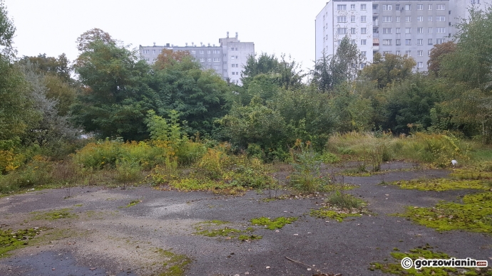 3/5 Działka TVP Gorzów