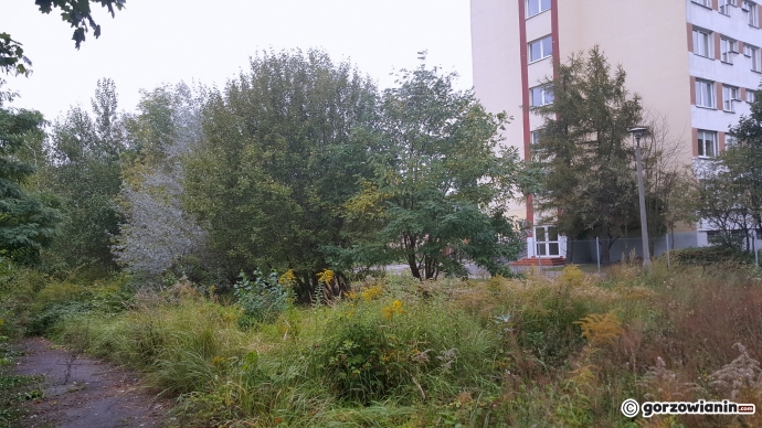 4/5 Działka TVP Gorzów