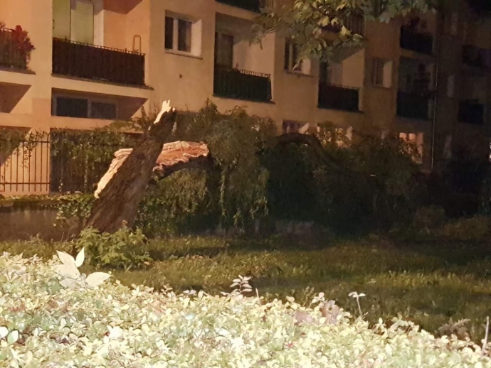 12/14 Orkan Ksawery sieje spustoszenie