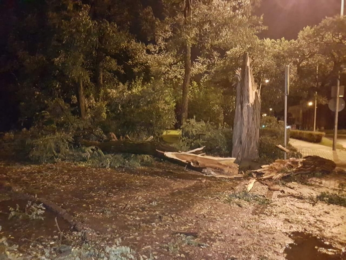 13/14 Orkan Ksawery sieje spustoszenie