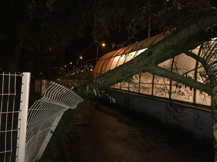 8/9 Trwa usuwanie skutków wichury