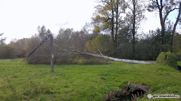 5/10 Wiele miejscowości wciąż jest bez prądu