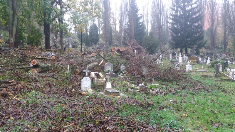 3/6 Pobojowisko na cmentarzu przy Warszawskiej