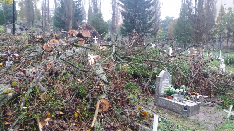 4/6 Pobojowisko na cmentarzu przy Warszawskiej