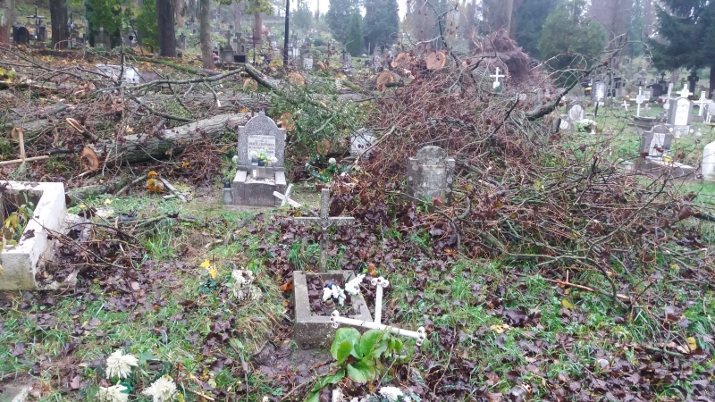 5/6 Pobojowisko na cmentarzu przy Warszawskiej