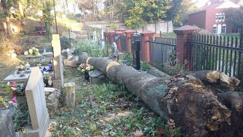 6/6 Pobojowisko na cmentarzu przy Warszawskiej