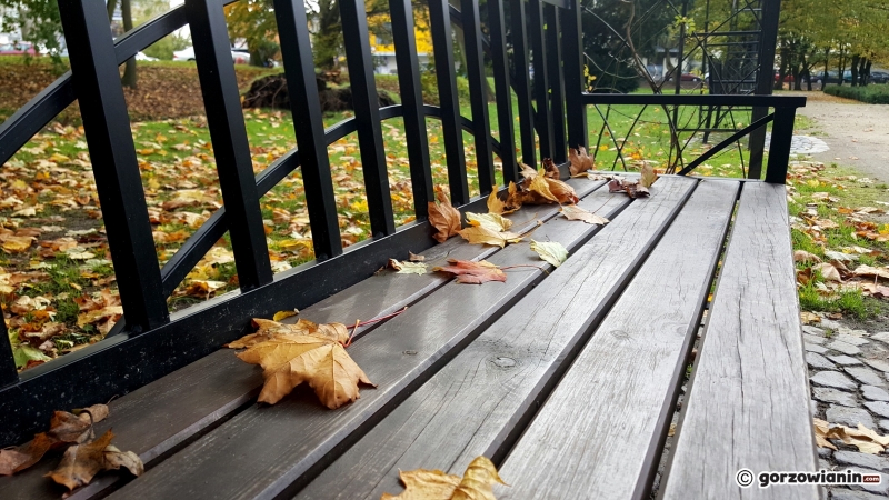 4/16 Jesień w Parku Róż
