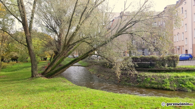 5/16 Jesień w Parku Róż