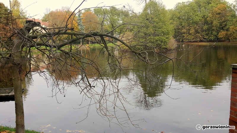 6/16 Jesień w Parku Róż