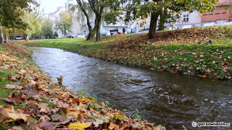 7/16 Jesień w Parku Róż