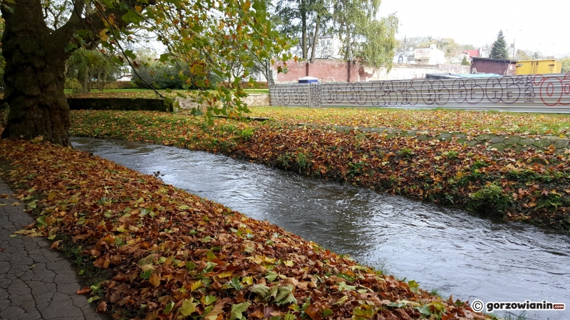 8/16 Jesień w Parku Róż