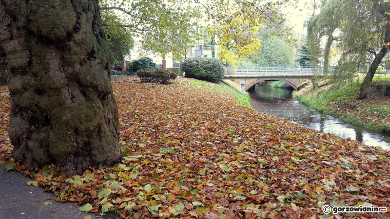 9/16 Jesień w Parku Róż