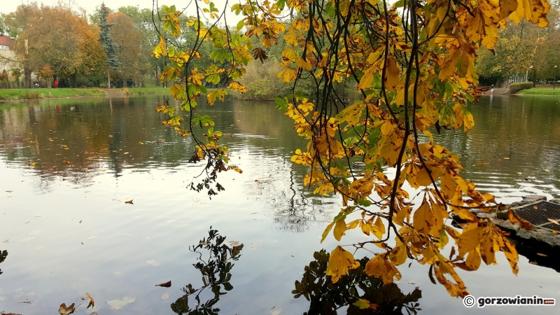 13/16 Jesień w Parku Róż
