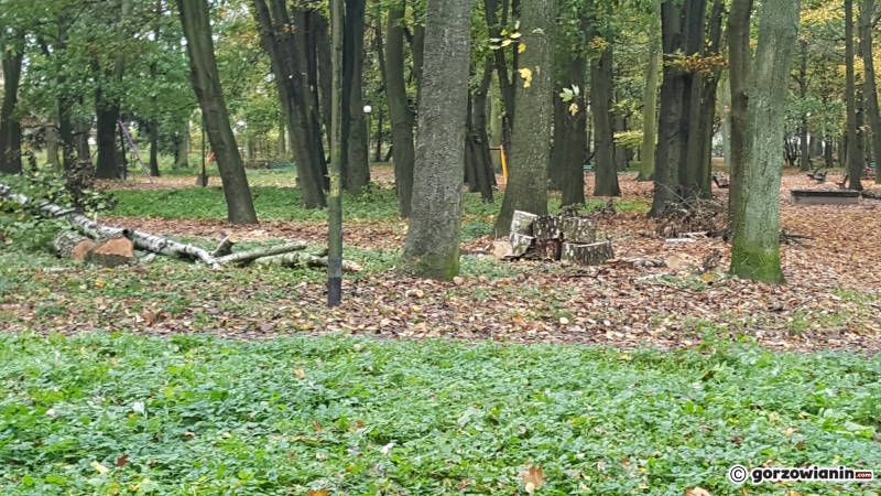 3/5 Śmiertelny wypadek w parku Kopernika