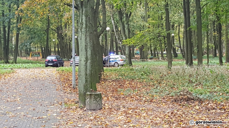 4/5 Śmiertelny wypadek w parku Kopernika
