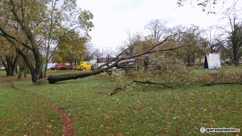 4/4 W regionie mocniej wieje