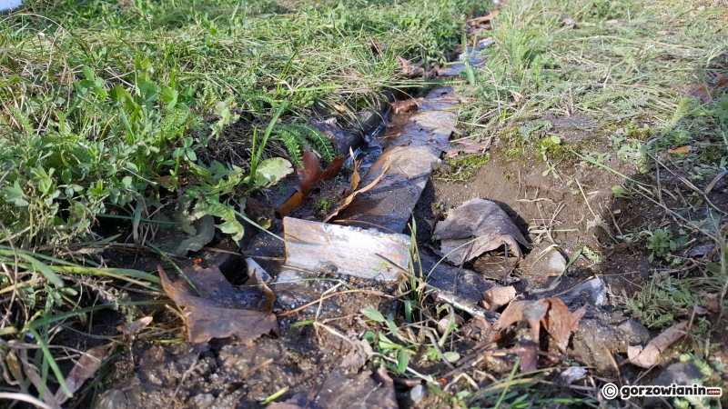 5/8 Wiatr przewrócił wiatę przystankową