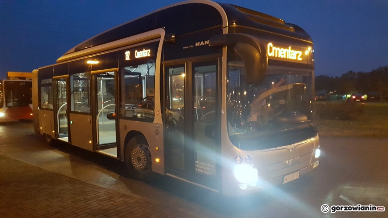 3/8 20-metrowy MAN na ulicach Gorzowa