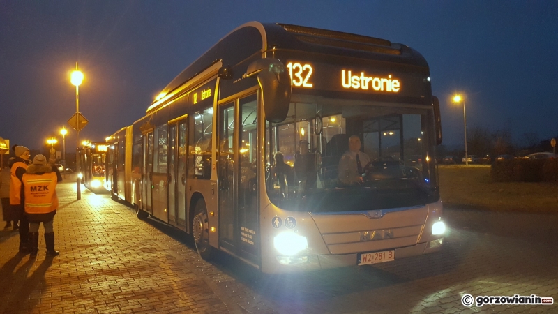 5/8 20-metrowy MAN na ulicach Gorzowa