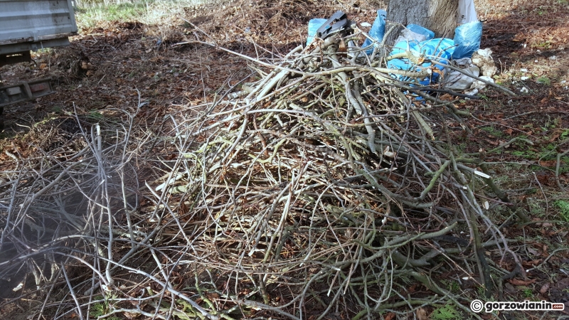 3/12 Sprzątanie Kłodawki - dogrywka