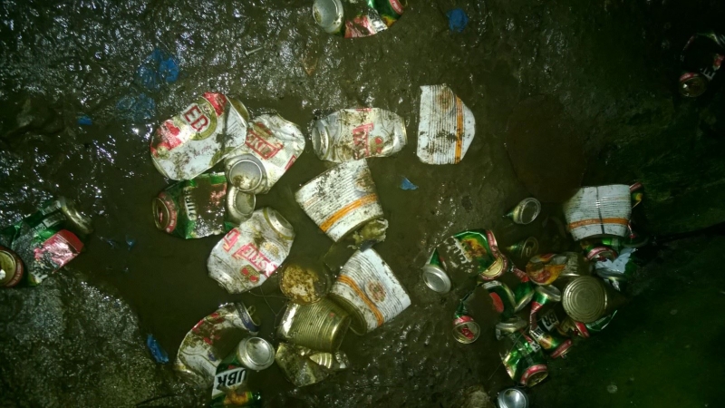 4/8 Zagłodzone psy w Trześniowie