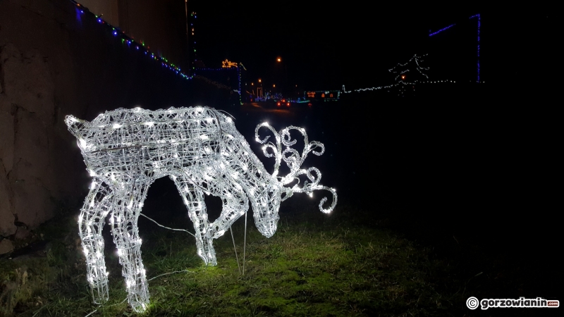 10/22 Świecące tysiącami światełek Popowo